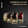 Haarfarbe 4_86 Schokobraun Syoss Oleo Intense