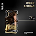 Haarfarbe 4_86 Schokobraun Syoss Oleo Intense