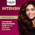 Haarfarbe 4-6/850 Mokkabraun Palette Intensive Color Creme