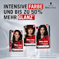 Haarfarbe 884 Kakaobraun Schwarzkopf Brillance