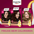 Haarfarbe 3-68/878 Mahagoni Palette