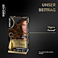 Haarfarbe 4_60 Goldbraun Syoss Oleo Intense