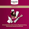 Haarfarbe 3-68/878 Mahagoni Palette