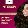 Haarfarbe 4-0/800 Dunkelbraun Palette Intensive Color Creme