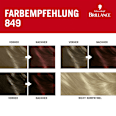 Haarfarbe 849 Herbstrot Schwarzkopf Brillance