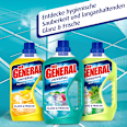Allzweckreiniger universal Bergfrühling DER GENERAL