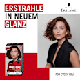 Haarfarbe 874 Samtbraun Schwarzkopf Brillance