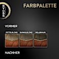 Haarfarbe 6_76 Warmes Kupfer Syoss Oleo Intense