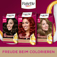 Haarfarbe 6-88 Rubinrot Palette