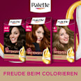 Haarfarbe 6-70 Kupfer Mahagoni Palette Intensive Color Creme