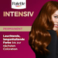 Haarfarbe 6-70 Kupfer Mahagoni Palette Intensive Color Creme
