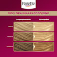 Haarfarbe 10-0/200 Helles Naturblond Palette Intensive Color Creme