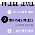 Sprüh-Conditioner Express-Purple Blonde Perfector Schwarzkopf GLISS