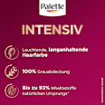 Haarfarbe U71 Kühles Silbergrau Palette Intensive Color Creme