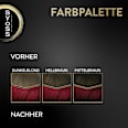 Haarfarbe 5_92 Helles Rot Syoss Oleo Intense