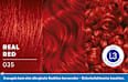 Haarfarbe 035 Real Red Schwarzkopf LIVE
