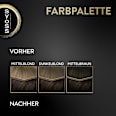 Haarfarbe 4_50 Naturbraun Syoss Oleo Intense