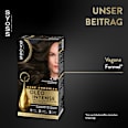 Haarfarbe 4_50 Naturbraun Syoss Oleo Intense