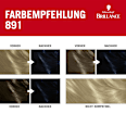 Haarfarbe 891 Blauschwarz Schwarzkopf Brillance