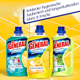 Allzweckreiniger Zitrone DER GENERAL