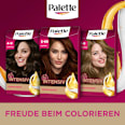 Haarfarbe 5-68/650 Kastanie Palette Intensive Color Creme