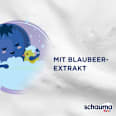 Kinder Shampoo & Waschgel Blaubeere schauma