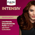 Haarfarbe 5-68/650 Kastanie Palette Intensive Color Creme