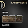 Haarfarbe 6_10 Dunkelblond Syoss Oleo Intense