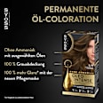 Haarfarbe 6_10 Dunkelblond Syoss Oleo Intense