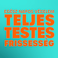Deo stift teljes testre, friss citrus illattal Rexona
