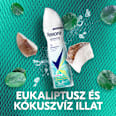 Deo spray Thermocool, eukaliptusz-kókuszvíz Rexona