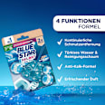 WC-Stein Türkis Aktiv+ Ocean BLUE STAR