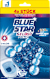 WC-Stein Chlor Selbst Aktiv BLUE STAR