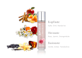 Eau de Parfum Of Wild Roses SPIRIT
