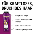 Shampoo Full Hair Magic Schwarzkopf GLISS