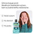 Ústna voda Cool Mint Listerine