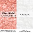VICHY Neovadiol Rose Platinium Tagespflege für Haut ab 60 VICHY LABORATOIRES