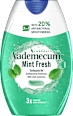 Pasta de dinți, gel 2in1 Mint Fresh Vademecum