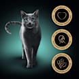 Nassfutter Katze Sauce Collection mit Pute Sheba