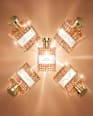 Royal Addiction Champagne Eau de Parfum Otto Kern