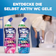 WC-Reiniger Gel Selbst Aktiv Ozeanfrische WC-Frisch