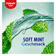 Mundspülung Plax Fresh & Protect Soft Mint Colgate