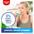 Mundspülung Plax Fresh & Protect Soft Mint Colgate