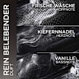 Duschgel Pure Carbon mit Karbon, Multi Action 5in1 L'ORÉAL PARiS MEN EXPERT