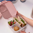 svačinový box Blush crush, střední b.box