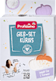 Gips Gieß-Set Kürbis Profissimo