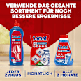 Spülmaschinen-Tabs All in 1 Extra Vorteilspack Somat