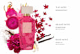 Női EdP Petit papillon CÂLINE