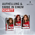 Haare Aufheller & Haarfarbe L843 Leuchtendes Rot Schwarzkopf Brillance