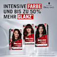Intensivtönung 869 Kastanienbraun Schwarzkopf Brillance